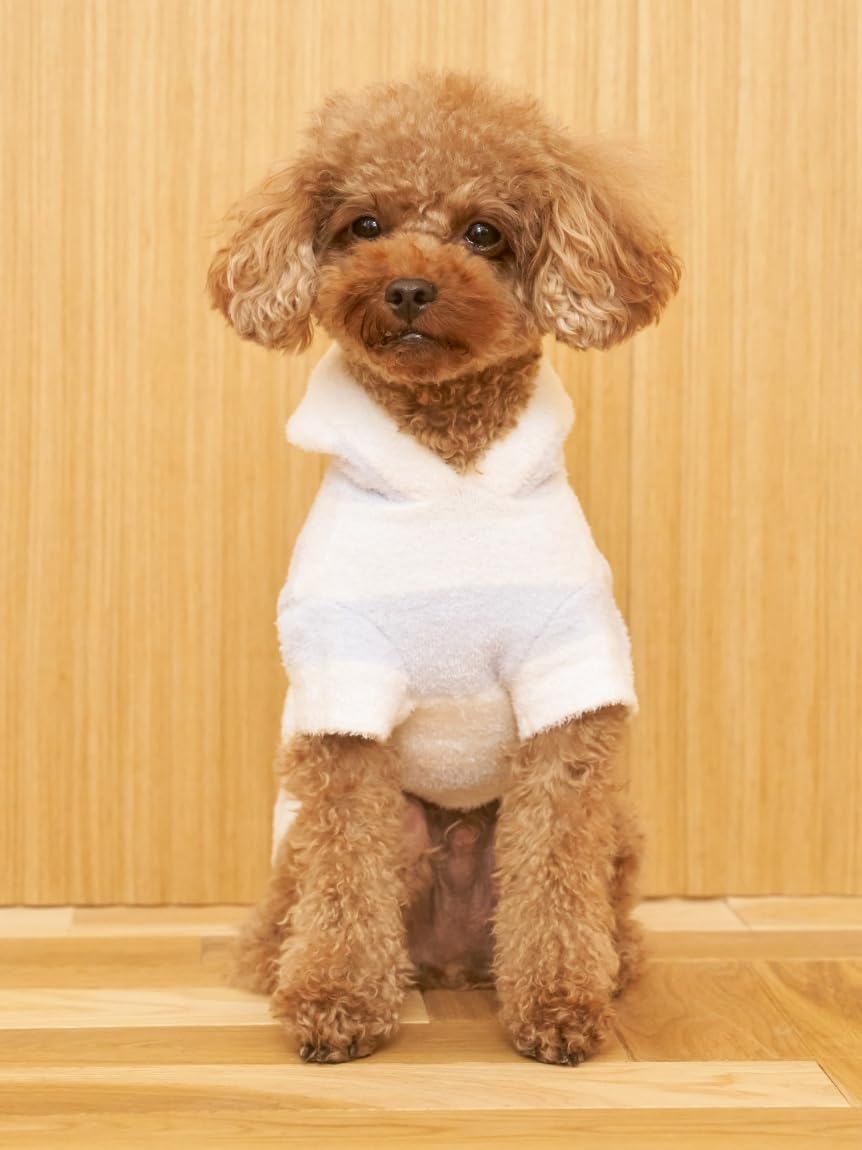 Amazon.co.jp: gelato pique ジェラートピケ: WEAR